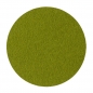 Preview: Wool felt round coasters - moss green