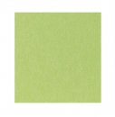 Violan® Untersetzer Set in quadratisch - lime